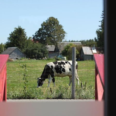 Karpu Dikis-Kempings Viesites Jaunmārupe Buitenkant foto
