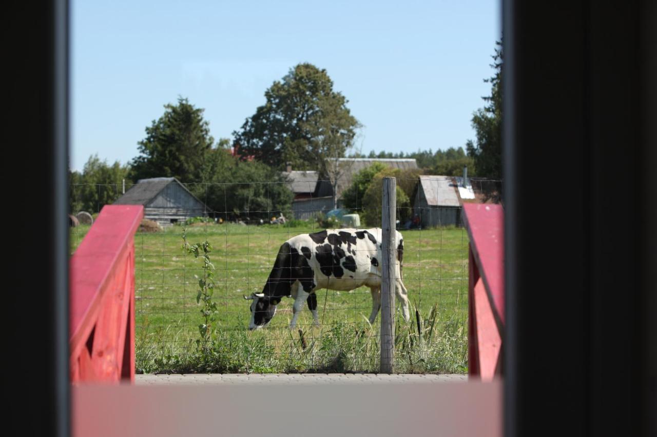 Karpu Dikis-Kempings Viesites Jaunmārupe Buitenkant foto